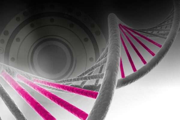 System Controls Technology Solutions Pvt Ltd